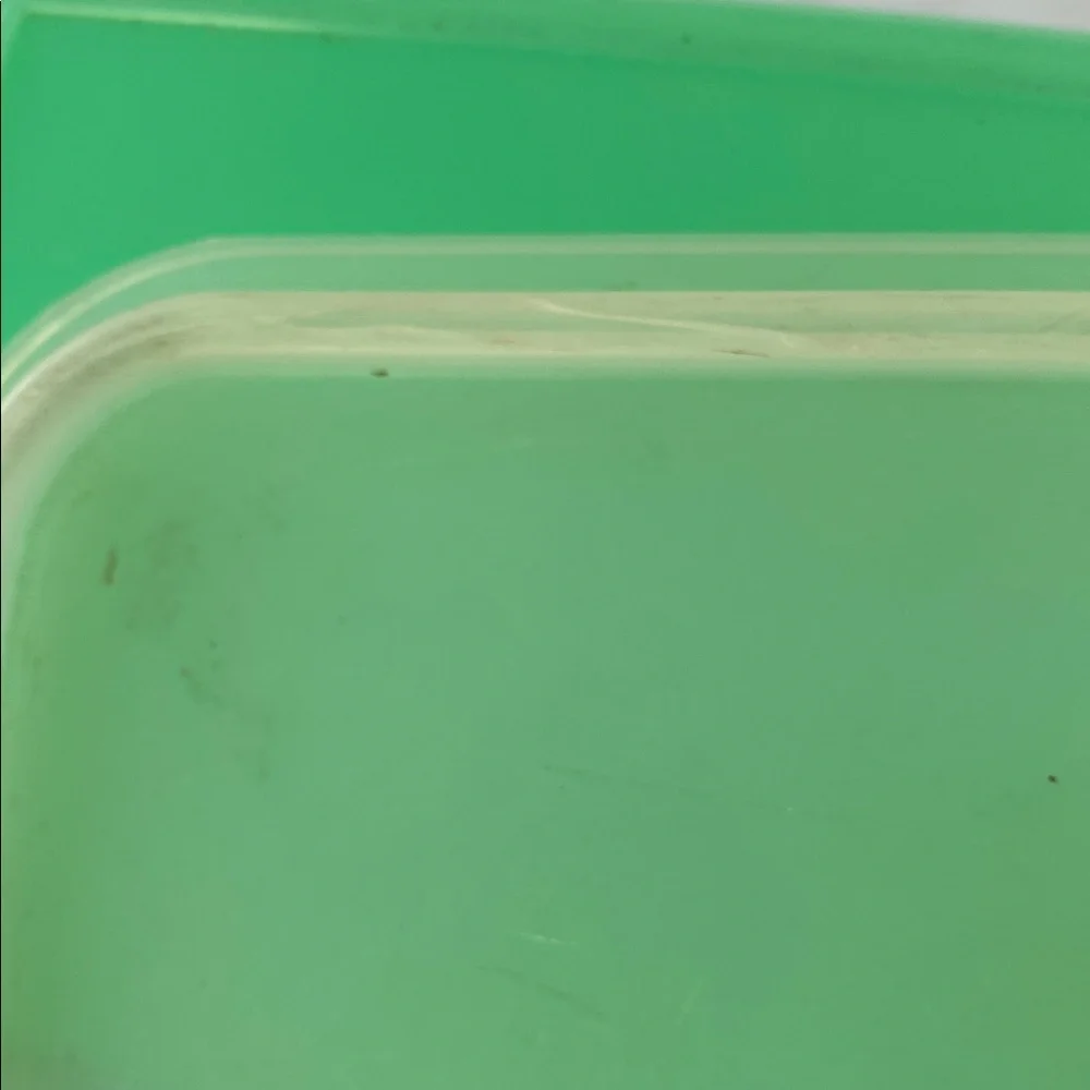 Tupperware Celery Keeper Vintage